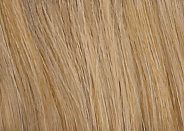 06_ew_pureurope_sandyblonde_mix_14_20_16