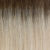 RH612SS-Shaded-Champagne